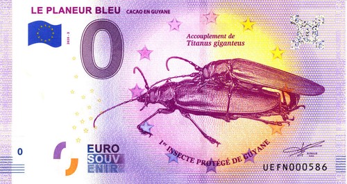 Cacao planeur bleu 3 - cacao, le